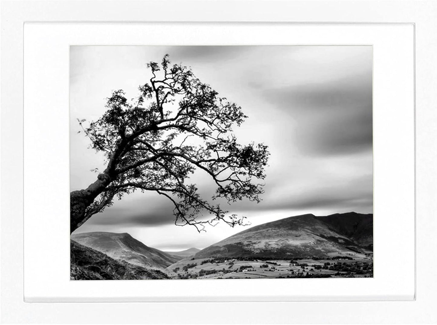 BOJIN 14x17 Picture Frames White Solid Wood Without Mat Display Poster Wall Hanging Home Decoration Photo Frame
